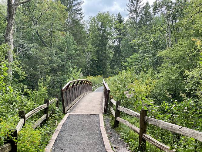 Picture 26 of Kaaterskill Falls Trail