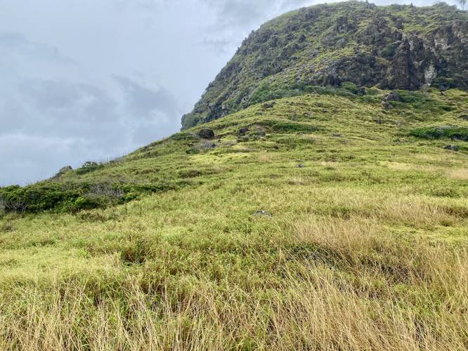 View of Pu'u Koa'e, cinder cone (with farm goats on its slopes)