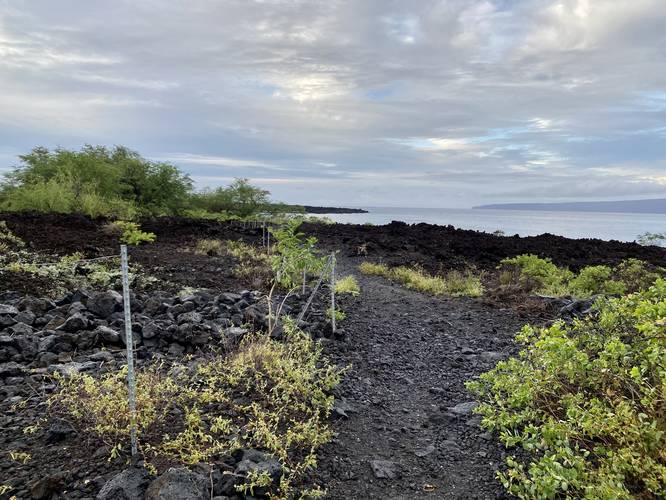 Trail passes through a rocky old lava flow
