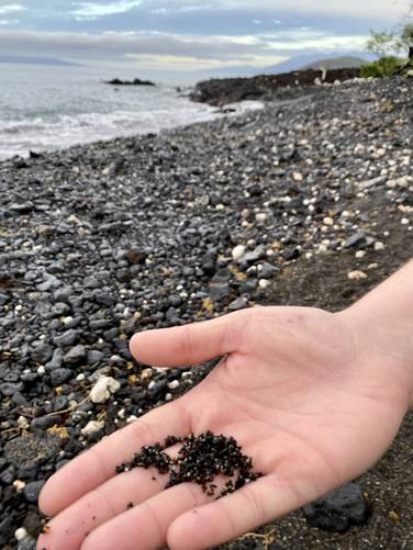 Black sand is created from the dark lava rocks