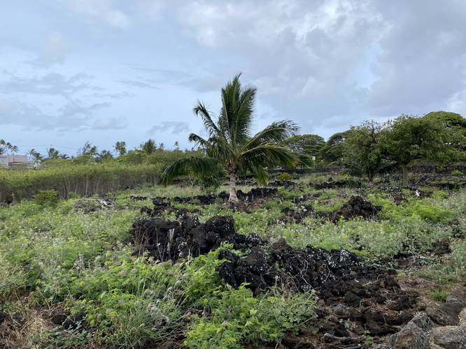 Picture 3 of Kanei olouma Heiau