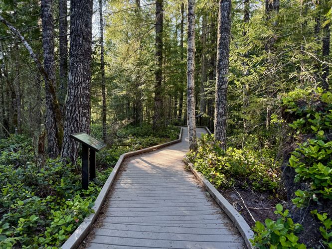 Boardwalk of the Kautz Creek Nature Trail at Mt. Rainier National Park, WA