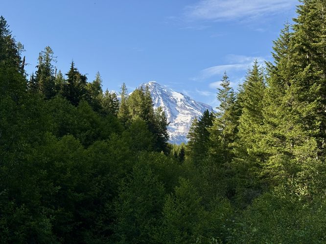 Default image for Kautz Creek Nature Trail, a 0.1-mile trail in Longmire, WA (US)