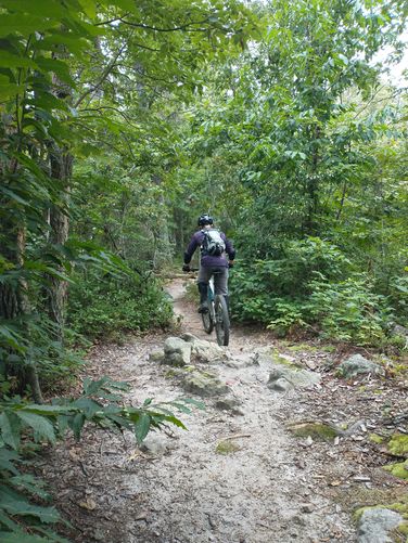 Picture 4 of Kaylors Knob Trail 