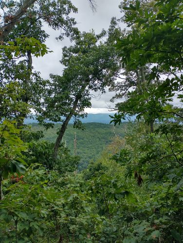 Glimpses of the valley below 