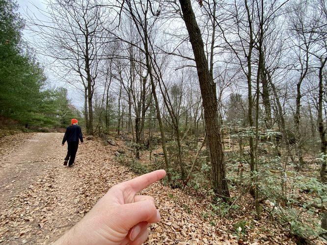 Off-trail hike starts on the south side of the road