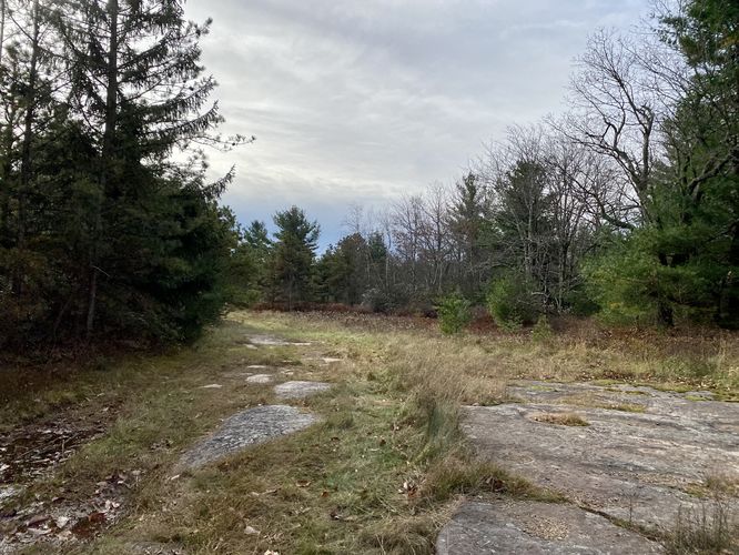 Trail leads south to reach the Kellogg Mountain Overlook