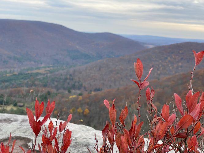 Red foliage and the Kellogg Mountain Overlook (north cliffs)