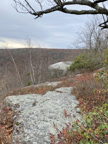 Bedrock cliffs at Kellogg Mountain