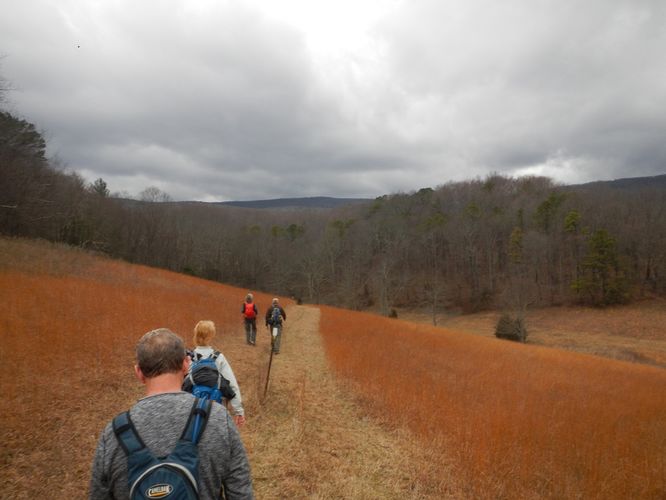 Picture 7 of Kelly Knob Hike 020817