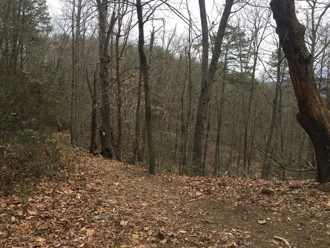 Picture 8 of Kelly Knob Hike 020817