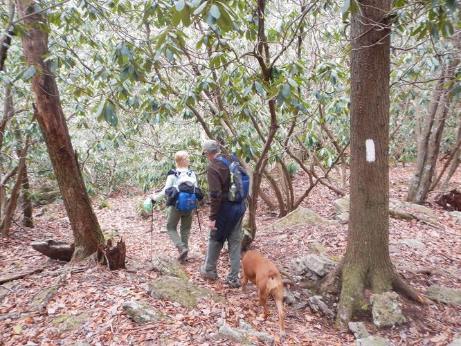 Picture 11 of Kelly Knob Hike 020817