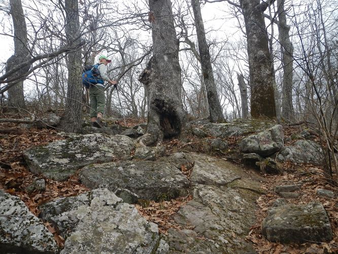 Picture 16 of Kelly Knob Hike 020817