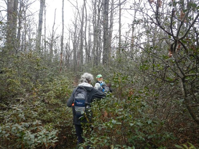 Picture 18 of Kelly Knob Hike 020817