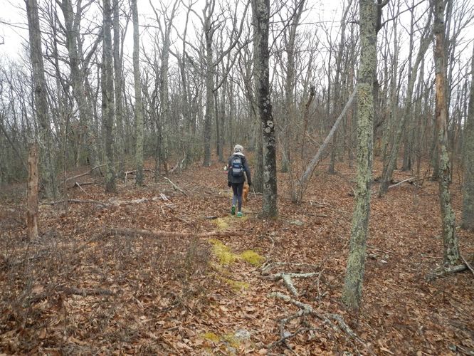 Picture 19 of Kelly Knob Hike 020817