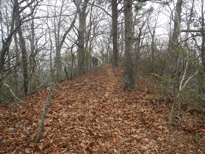 Picture 20 of Kelly Knob Hike 020817