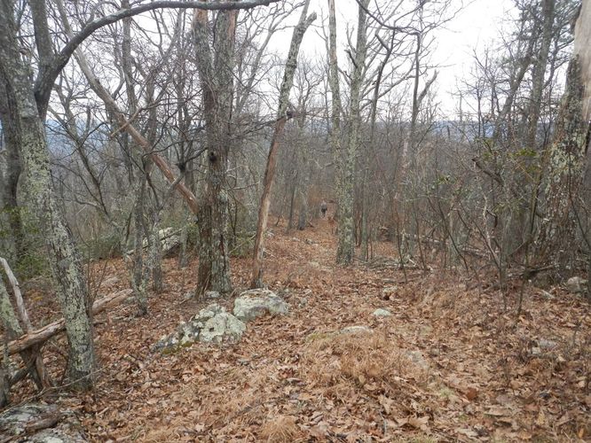 Picture 21 of Kelly Knob Hike 020817
