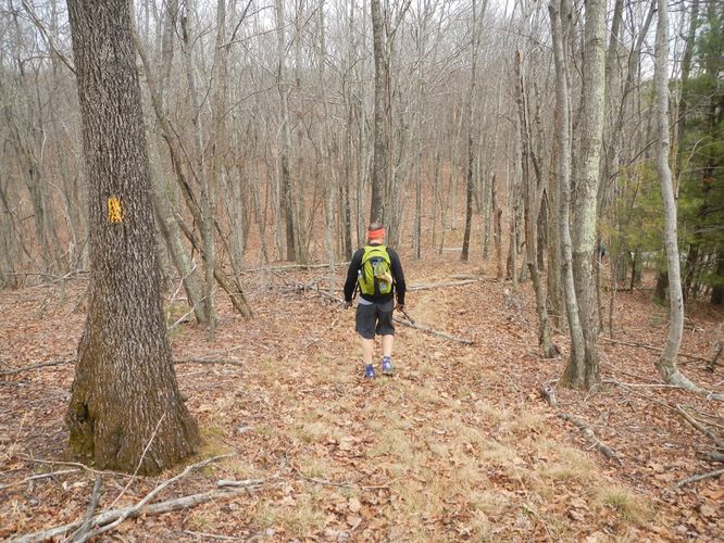 Picture 24 of Kelly Knob Hike 020817