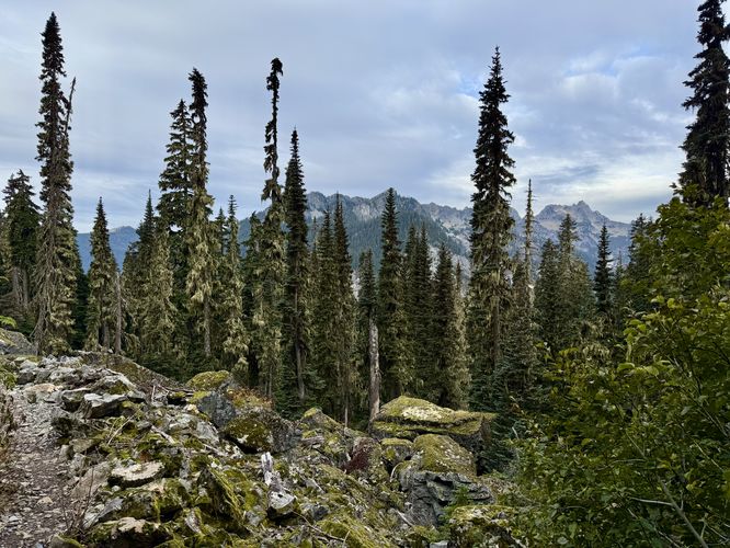 Picture 10 of Kendall Katwalk Hike