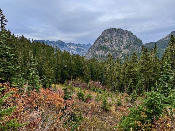Autumn foliage with views of mountains in Snoqualmie Pass