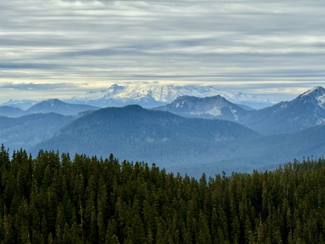 View of Mt. Rainier