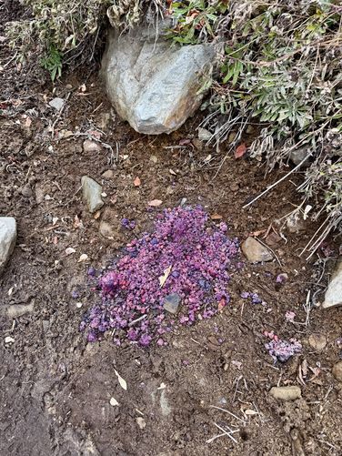 Picture 24 of Kendall Katwalk Hike