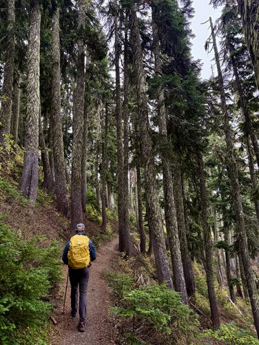 Picture 52 of Kendall Katwalk Hike