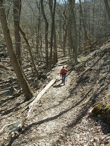 Picture 5 of Kennedy Peak Hike 022804