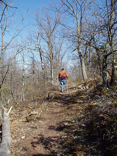 Picture 7 of Kennedy Peak Hike 022804