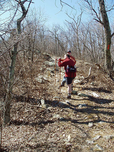 Picture 12 of Kennedy Peak Hike 022804