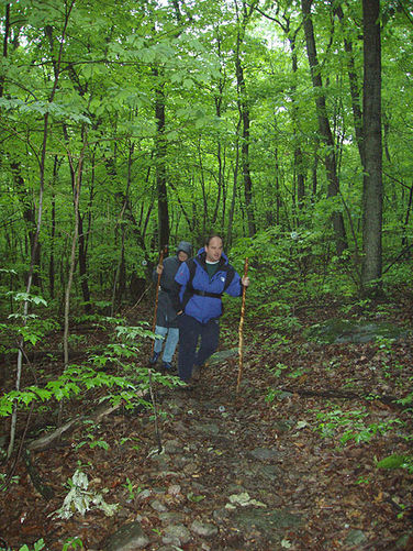 Picture 5 of Kennedy Peak Hike 051703