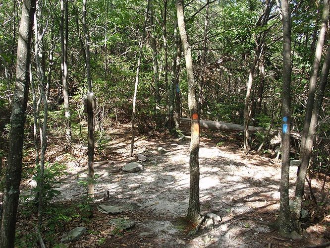 Picture 8 of Kerns Mountain Hike 080908