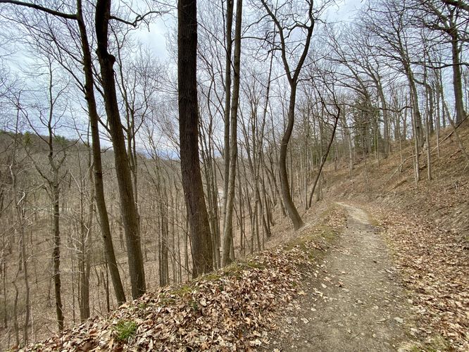 Terrain becomes steeper as the trail desends