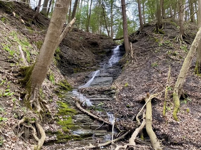 Picture 29 of Keshequa Creek Falls Trail