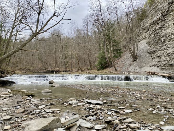 Keshequa Creek Falls (approx. 3-feet tall, 100+ feet wide)