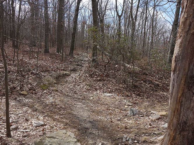 Picture 7 of Keys Gap and David Lesser Shelter Hike 022716