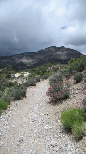 Trail substrate