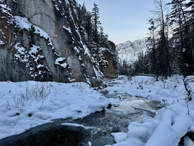 Scenic view down King Creek
