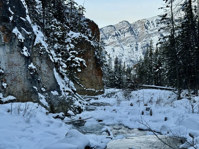 Picture 8 of King Creek Canyon Ice Climbs