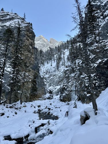 Picture 18 of King Creek Canyon Ice Climbs