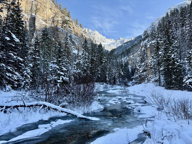Scenic view up King Creek Canyon