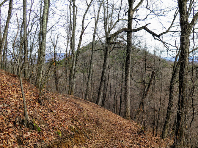 Picture 17 of Kitsuma Peak and Point Lookout 011418
