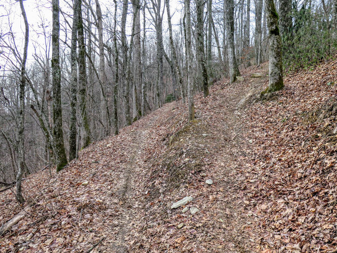 Picture 18 of Kitsuma Peak and Point Lookout 011418