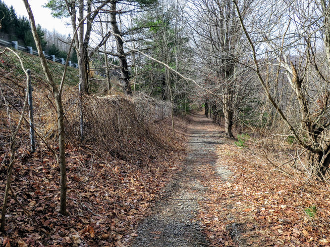 Picture 33 of Kitsuma Peak and Point Lookout 011418