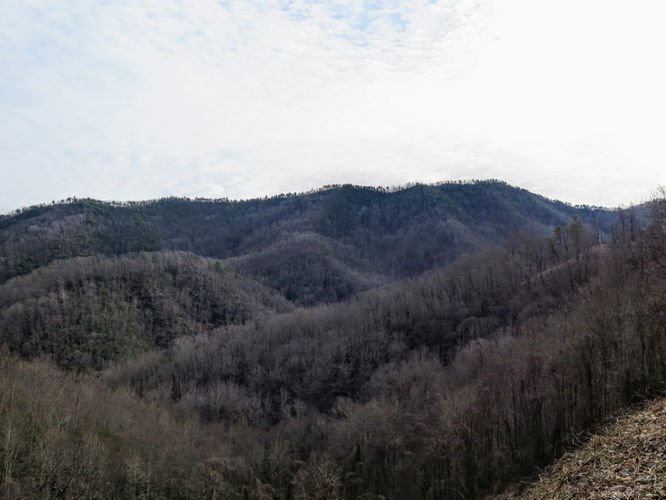 Picture 42 of Kitsuma Peak and Point Lookout 011418
