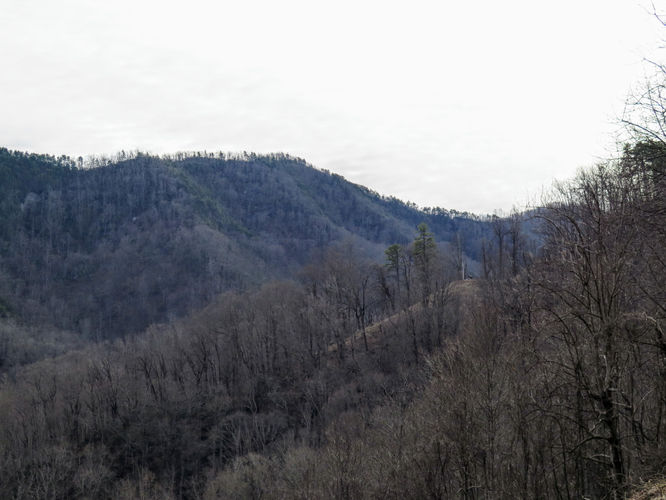 Picture 43 of Kitsuma Peak and Point Lookout 011418