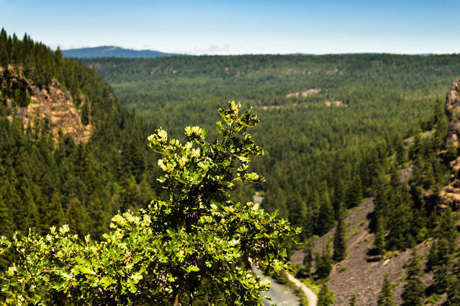 Picture 4 of Klickitat Canyon Overlook