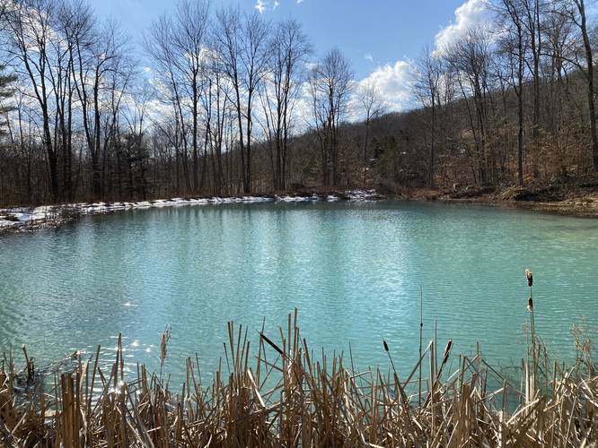Acitiy-reducing headwater pond for Lick Run Creek