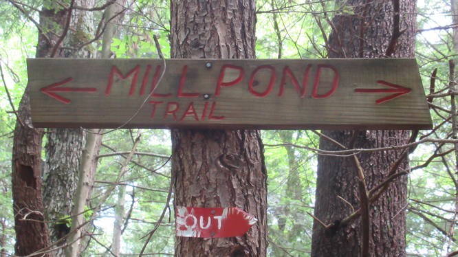 Example of trail signs and blazing