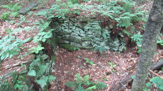 Remnant of the Mill House foundation